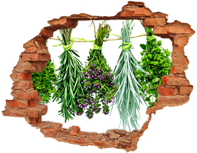Adesivo con buco sbrecciato Giardino delle erbe aromatiche nel buco nel muro