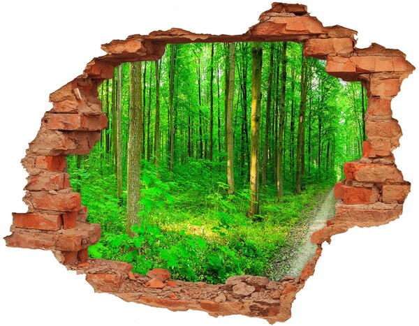 Adesivo murale buco 3D Foresta verde in un buco nel muro