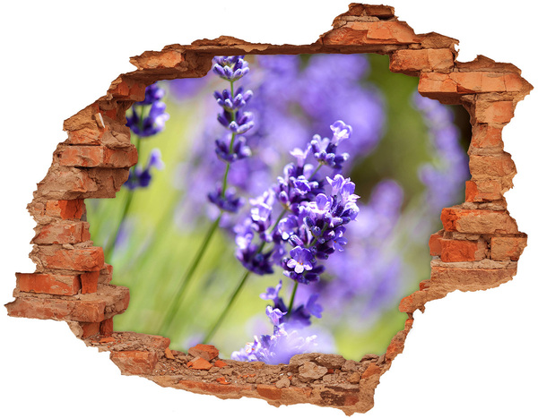 Adesivo murale buco 3D Fiori di lavanda in un buco virtuale