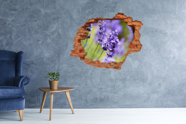Adesivo murale buco 3D Fiori di lavanda in un buco virtuale
