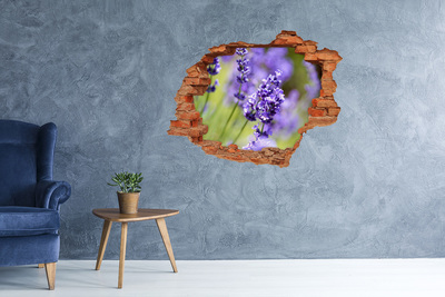 Adesivo murale buco 3D Fiori di lavanda in un buco virtuale