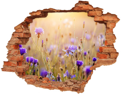 Adesivo murale buco 3D Un paradiso di fiori dietro il muro