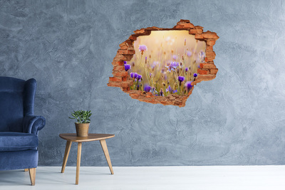 Adesivo murale buco 3D Un paradiso di fiori dietro il muro