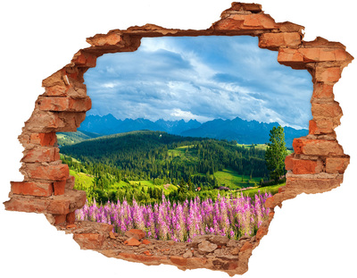Adesivo effetto buco nel muro Paesaggio montano con fiori