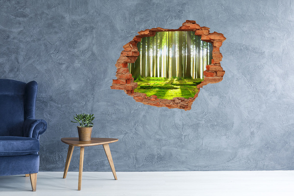Adesivo murale buco 3D Foresta verde con raggi di sole