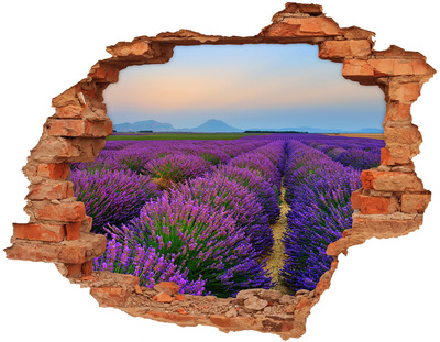 Adesivo murale buco 3D Campi di lavanda al sole
