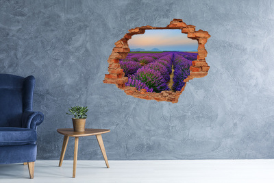 Adesivo murale buco 3D Campi di lavanda al sole