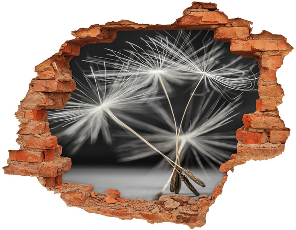 Adesivo effetto buco nel muro Fiori di tarassaco nel cemento