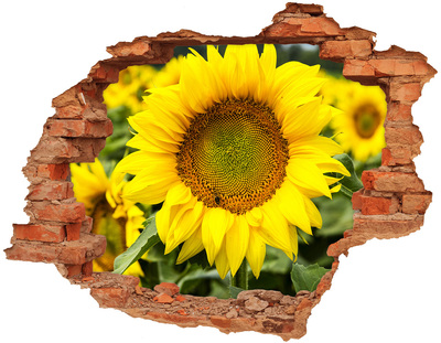 Adesivo murale buco 3D Girasole in cemento