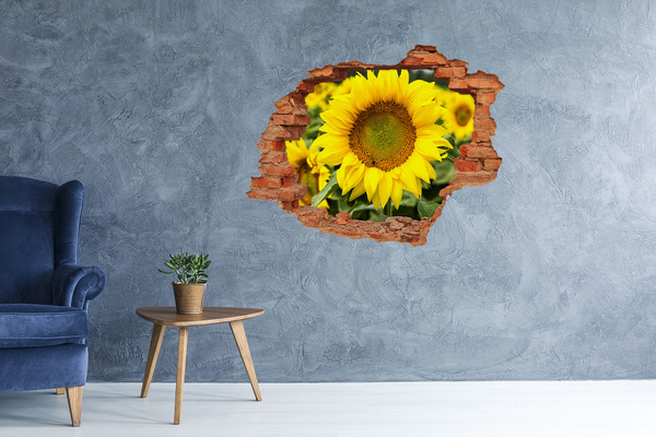 Adesivo murale buco 3D Girasole in cemento