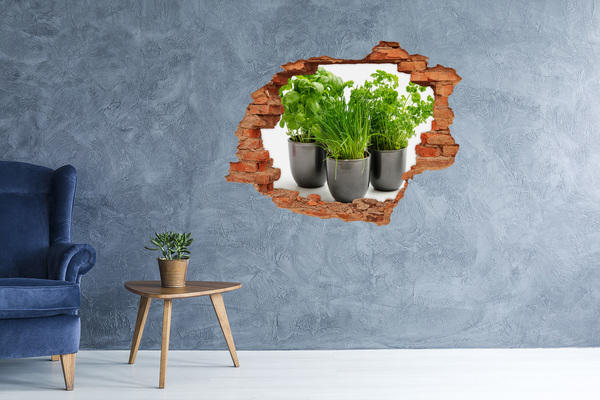 Adesivo murale buco 3D Giardino verde in vaso