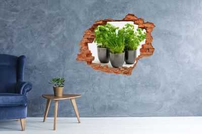 Adesivo murale buco 3D Giardino verde in vaso