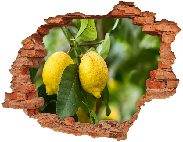 Adesivo murale buco 3D Limoneto dietro il muro