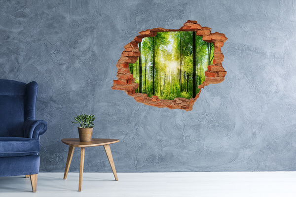 Adesivo murale buco 3D Foresta verde con raggi di sole