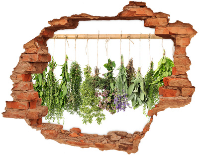 Adesivo effetto buco nel muro Giardino delle erbe aromatiche nel buco nel muro