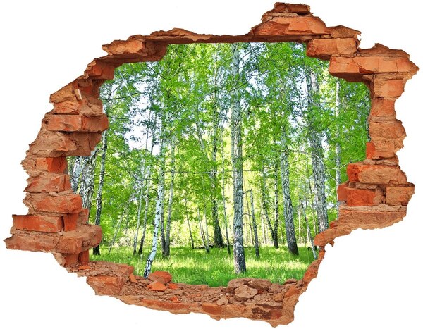 Adesivo con buco sbrecciato Foresta verde in un buco nel muro