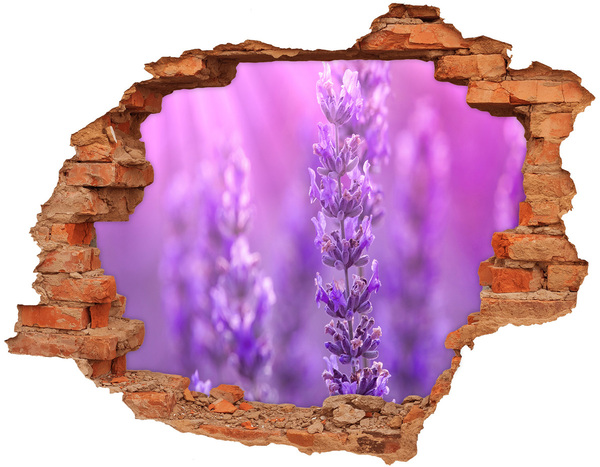 Adesivo murale buco 3D Fiori di lavanda nella luce del mattino