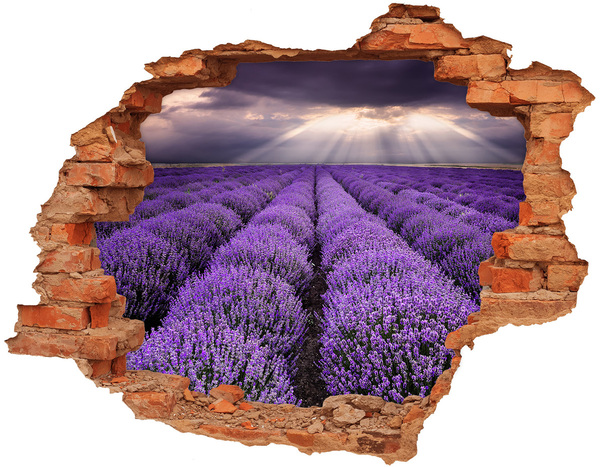 Adesivo con buco sbrecciato Campi di lavanda alla luce del sole al tramonto