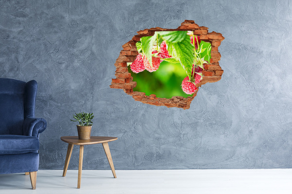 Adesivo con buco sbrecciato Lamponi in giardino