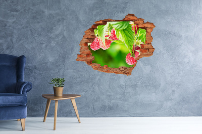 Adesivo con buco sbrecciato Lamponi in giardino