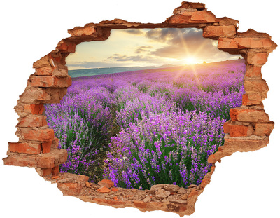 Adesivo effetto buco nel muro Campo di lavanda all'alba