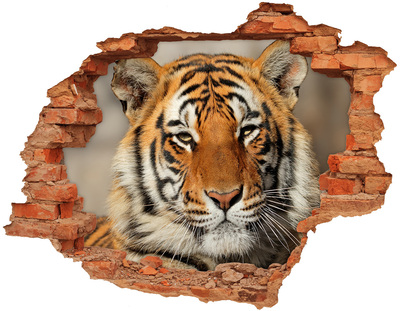 Adesivo effetto buco nel muro La tigre nel buco nel muro