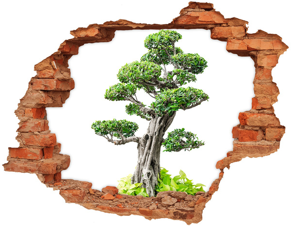 Adesivo effetto buco nel muro Bonsai in un buco nel muro