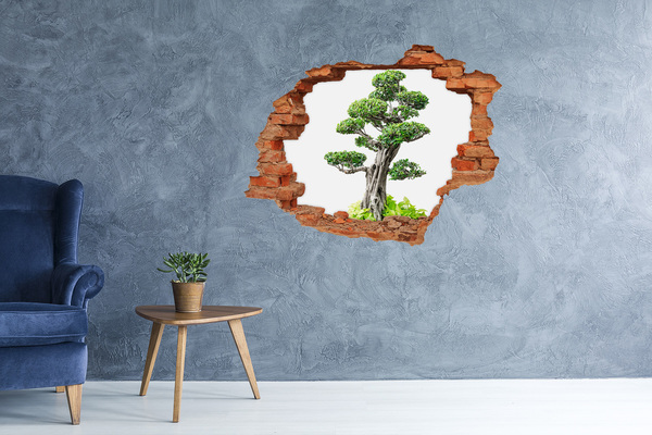 Adesivo effetto buco nel muro Bonsai in un buco nel muro