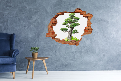 Adesivo effetto buco nel muro Bonsai in un buco nel muro