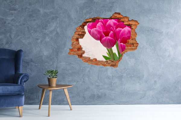 Adesivo effetto buco nel muro Fiori di colore rosa