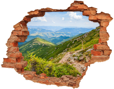 Adesivo murale buco 3D Paesaggio montano con un sentiero