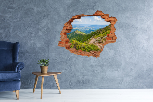 Adesivo murale buco 3D Paesaggio montano con un sentiero