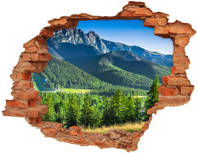 Adesivo murale buco 3D Paesaggio montano visto attraverso un buco nel muro