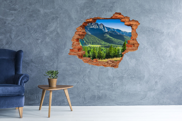 Adesivo murale buco 3D Paesaggio montano visto attraverso un buco nel muro