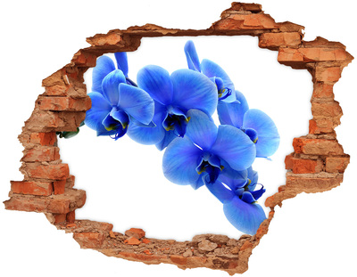 Adesivo murale buco 3D Fiori di orchidea in un buco nel muro