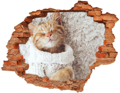 Adesivo murale buco 3D Gatto carino con un maglione