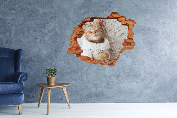 Adesivo murale buco 3D Gatto carino con un maglione