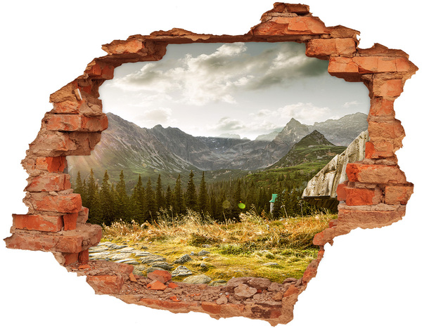 Adesivo murale buco 3D Paesaggio montano visto attraverso un buco nel muro