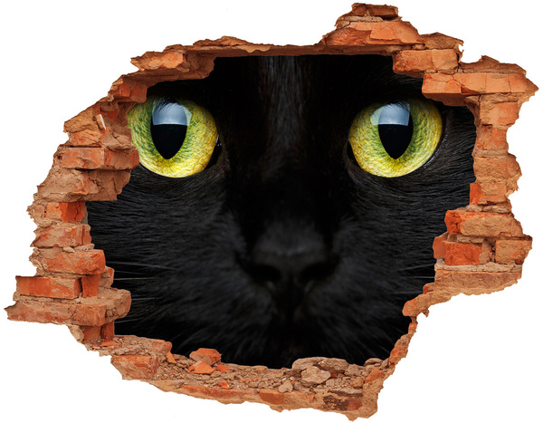 Adesivo murale buco 3D Gatto nero attraverso un buco nel muro