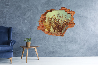 Adesivo murale buco 3D Gocce sui capelli delicati