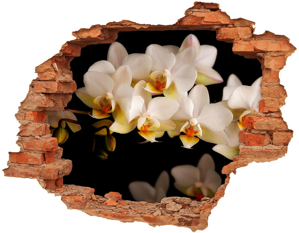 Adesivo con buco sbrecciato Fiori di orchidea tra le rovine