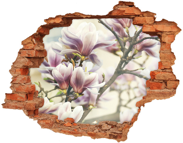 Adesivo con buco sbrecciato Fiori di magnolia in un muro danneggiato