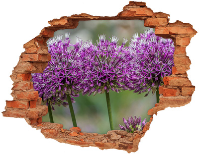 Adesivo effetto buco nel muro Fiori in fiore
