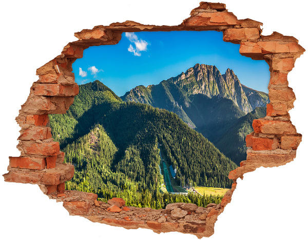 Adesivo murale buco 3D Paesaggio montano con valle