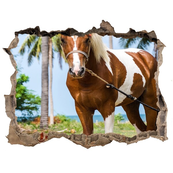 Sticker buco nel muro Un cavallo ai tropici