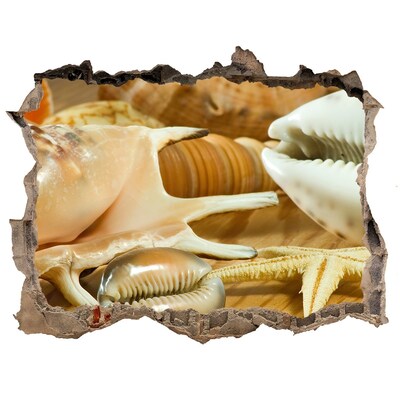 Finto buco nel muro 3D Tesori del mare