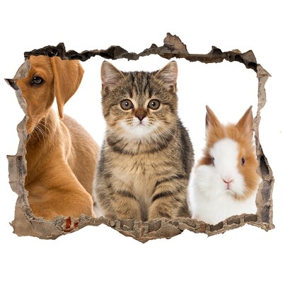 Finto buco nel muro 3D Amici per sempre