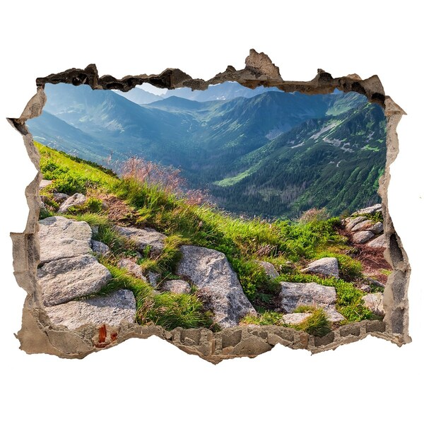 Adesivo buco nel muro Vista sulle montagne con la valle