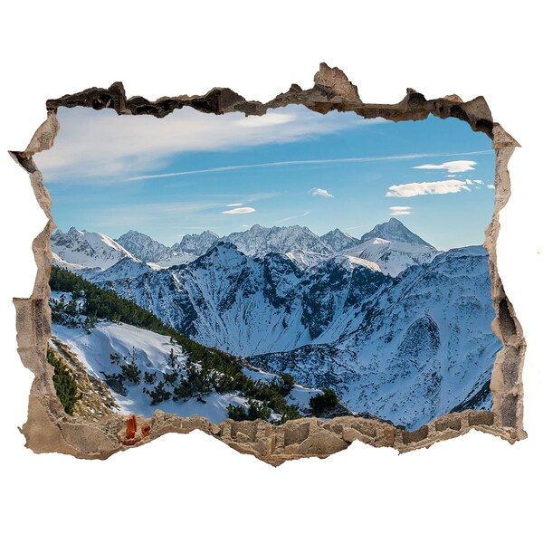 Sticker buco nel muro Paesaggio montano invernale