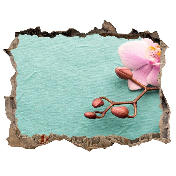 Adesivo buco nel muro Fiore d'orchidea in un muro danneggiato